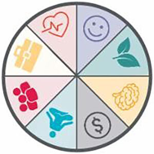 Team Member Wellness icons